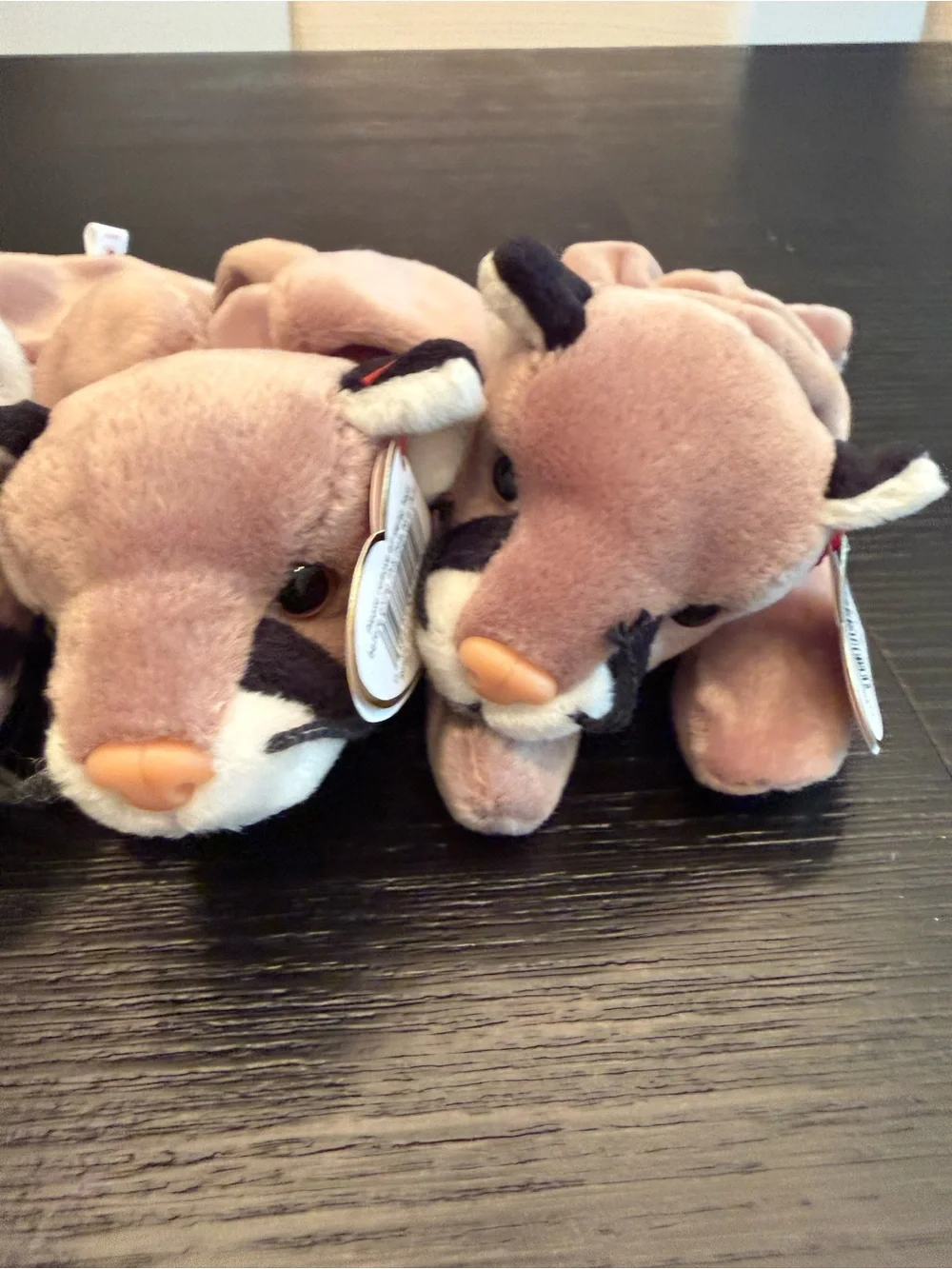 NWT Vintage Ty Beanie Babies Bundle of (3) Canyon Cougar Stuffed Animals